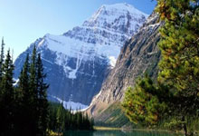 美团团购券核销 API入驻受限?零侵入低成本接口多店与 SaaS 接入